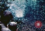 Image of Okinawa Operations Okinawa Ryukyu Islands, 1945, second 26 stock footage video 65675053465