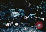 Image of Okinawa Operations Okinawa Ryukyu Islands, 1945, second 34 stock footage video 65675053465