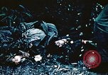 Image of Okinawa Operations Okinawa Ryukyu Islands, 1945, second 36 stock footage video 65675053465