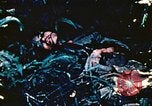 Image of Okinawa Operations Okinawa Ryukyu Islands, 1945, second 38 stock footage video 65675053465