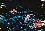 Image of Okinawa Operations Okinawa Ryukyu Islands, 1945, second 39 stock footage video 65675053465