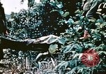 Image of Okinawa Operations Okinawa Ryukyu Islands, 1945, second 56 stock footage video 65675053465