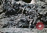 Image of Okinawa Operations Okinawa Ryukyu Islands, 1945, second 26 stock footage video 65675053467