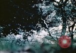 Image of Okinawa Operations Okinawa Ryukyu Islands, 1945, second 60 stock footage video 65675053467