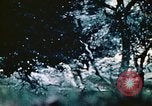 Image of Okinawa Operations Okinawa Ryukyu Islands, 1945, second 61 stock footage video 65675053467