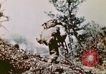 Image of Okinawa Operations Okinawa Ryukyu Islands, 1945, second 27 stock footage video 65675053468