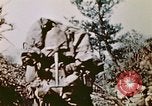 Image of Okinawa Operations Okinawa Ryukyu Islands, 1945, second 31 stock footage video 65675053468