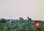 Image of Okinawa Operations Okinawa Ryukyu Islands, 1945, second 50 stock footage video 65675053468