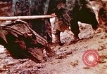 Image of Okinawa Operations Okinawa Ryukyu Islands, 1945, second 59 stock footage video 65675053469