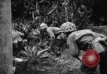 Image les troupes des États-Unis Okinawa îles Ryukyu, 1945, de la seconde 8 séquences d'archives historiques vidéo 65675053474