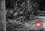 Image les troupes des États-Unis Okinawa îles Ryukyu, 1945, de la seconde 11 séquences d'archives historiques vidéo 65675053474