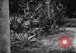 Image les troupes des États-Unis Okinawa îles Ryukyu, 1945, de la seconde 12 séquences d'archives historiques vidéo 65675053474