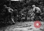 Image les troupes des États-Unis Okinawa îles Ryukyu, 1945, de la seconde 16 séquences d'archives historiques vidéo 65675053474