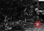 Image les troupes des États-Unis Okinawa îles Ryukyu, 1945, de la seconde 22 séquences d'archives historiques vidéo 65675053474