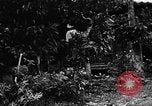 Image les troupes des États-Unis Okinawa îles Ryukyu, 1945, de la seconde 24 séquences d'archives historiques vidéo 65675053474