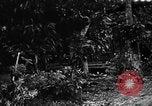 Image les troupes des États-Unis Okinawa îles Ryukyu, 1945, de la seconde 27 séquences d'archives historiques vidéo 65675053474