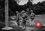 Image tores japonais Okinawa îles Ryukyu, 1945, de la seconde 35 séquences d'archives historiques vidéo 65675053477