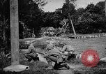 Image tores japonais Okinawa îles Ryukyu, 1945, de la seconde 41 séquences d'archives historiques vidéo 65675053477