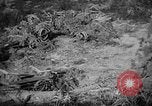 Image bateau de suicide japonais Okinawa îles Ryukyu, 1945, de la seconde 31 séquences d'archives historiques vidéo 65675053478