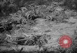 Image bateau de suicide japonais Okinawa îles Ryukyu, 1945, de la seconde 32 séquences d'archives historiques vidéo 65675053478