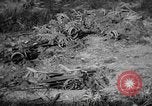 Image bateau de suicide japonais Okinawa îles Ryukyu, 1945, de la seconde 33 séquences d'archives historiques vidéo 65675053478