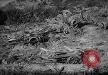 Image bateau de suicide japonais Okinawa îles Ryukyu, 1945, de la seconde 35 séquences d'archives historiques vidéo 65675053478