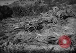 Image bateau de suicide japonais Okinawa îles Ryukyu, 1945, de la seconde 36 séquences d'archives historiques vidéo 65675053478