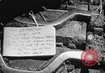 Standbild USA Tanks Okinawa Ryukyu Inseln, 1945, aus Sekunde 11 historischem Filmmaterial Videoclip 65675053482