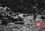 Standbild USA Tanks Okinawa Ryukyu Inseln, 1945, aus Sekunde 48 historischem Filmmaterial Videoclip 65675053482