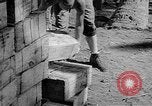 Standbild Truppen Last liefert auf Higgins Boote Salomonen, 1944, aus Sekunde 44 historischem Filmmaterial Videoclip 65675053483