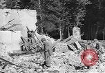 Immagine di Stati Uniti truppe Volturno River Valley Italia, 1944, secondo 51 filmato di repertorio 65675053485