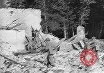 Immagine di Stati Uniti truppe Volturno River Valley Italia, 1944, secondo 52 filmato di repertorio 65675053485