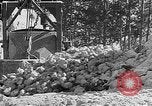 Immagine di Stati Uniti truppe Volturno River Valley Italia, 1944, secondo 60 filmato di repertorio 65675053485