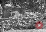 Immagine di Stati Uniti truppe Volturno River Valley Italia, 1944, secondo 62 filmato di repertorio 65675053485