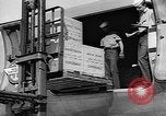 Image of wounded soldiers Pacific Theater, 1944, second 31 stock footage video 65675053487