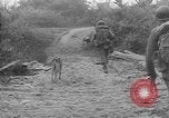 Standbild Vereinigten Staaten Truppen Birma, 1944, aus Sekunde 30 historischem Filmmaterial Videoclip 65675053490