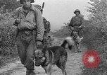 Standbild Vereinigten Staaten Truppen Birma, 1944, aus Sekunde 33 historischem Filmmaterial Videoclip 65675053490