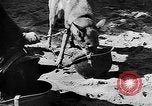 Standbild Vereinigten Staaten Truppen Birma, 1944, aus Sekunde 54 historischem Filmmaterial Videoclip 65675053490