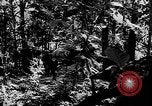 Standbild Vereinigten Staaten Truppen Birma, 1944, aus Sekunde 56 historischem Filmmaterial Videoclip 65675053490