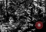 Standbild Vereinigten Staaten Truppen Birma, 1944, aus Sekunde 57 historischem Filmmaterial Videoclip 65675053490