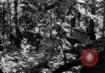 Standbild Vereinigten Staaten Truppen Birma, 1944, aus Sekunde 58 historischem Filmmaterial Videoclip 65675053490