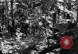 Standbild Vereinigten Staaten Truppen Birma, 1944, aus Sekunde 59 historischem Filmmaterial Videoclip 65675053490