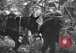Standbild Vereinigten Staaten Truppen Birma, 1944, aus Sekunde 60 historischem Filmmaterial Videoclip 65675053490