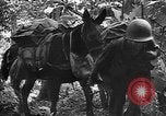 Standbild Vereinigten Staaten Truppen Birma, 1944, aus Sekunde 61 historischem Filmmaterial Videoclip 65675053490