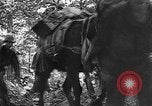 Standbild Vereinigten Staaten Truppen Birma, 1944, aus Sekunde 62 historischem Filmmaterial Videoclip 65675053490