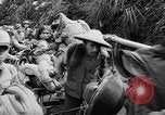 Image of Chinese refugees Liuchow China, 1944, second 55 stock footage video 65675053491
