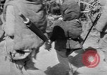 Image of Chinese refugees Liuchow China, 1944, second 59 stock footage video 65675053491