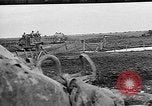 Immagine di Esercito degli Stati Uniti Teatro europeo, 1944, secondo 31 filmato di repertorio 65675053492