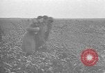 Immagine di Esercito degli Stati Uniti Teatro europeo, 1944, secondo 55 filmato di repertorio 65675053492