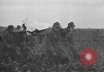 Immagine di Esercito degli Stati Uniti Teatro europeo, 1944, secondo 59 filmato di repertorio 65675053492